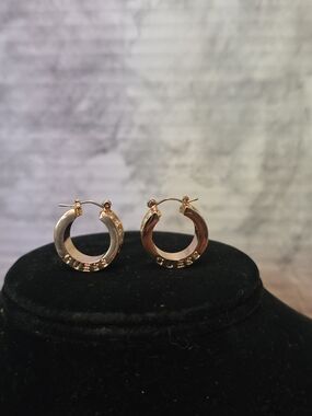 Gold Color Hoop Earrings with Textured Accent